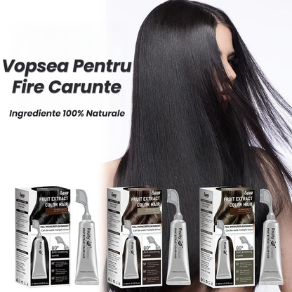 Vopsea pentru Fire Carunte (Perie Inclusa)