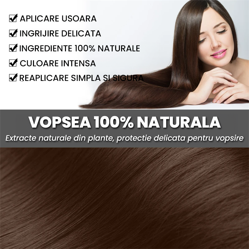 Vopsea pentru Fire Carunte (Perie Inclusa)