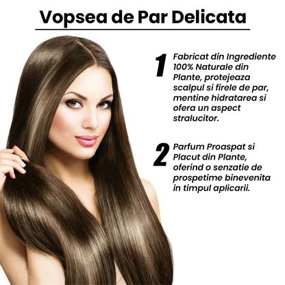 Vopsea pentru Fire Carunte (Perie Inclusa)