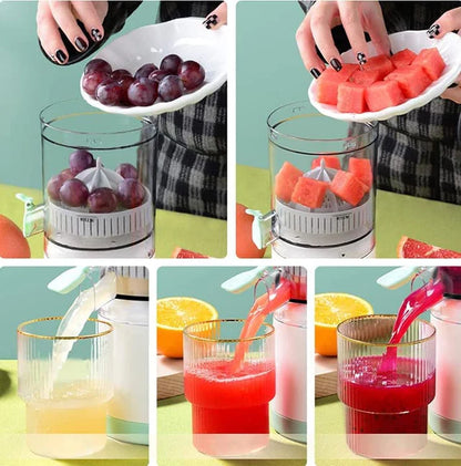 Storcator de Fructe